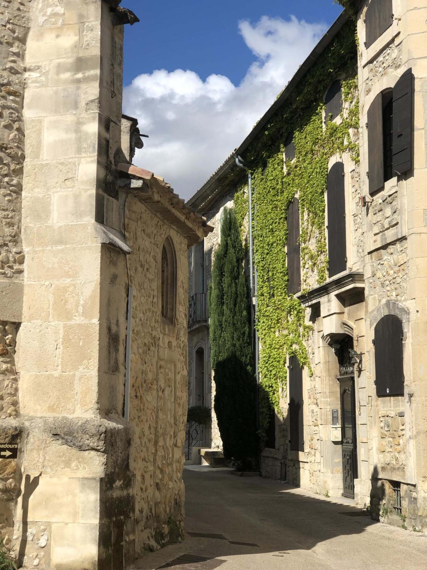 ホテル La Perroya Visan エクステリア 写真